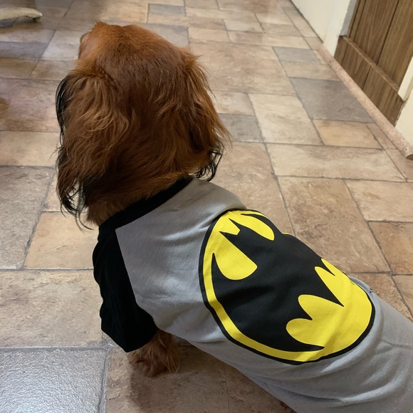 ❌SOLD❌Batman Logo DC Comic Tee Size Large - Picture 2 of 7